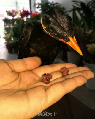 祛湿粥的做法步骤：7