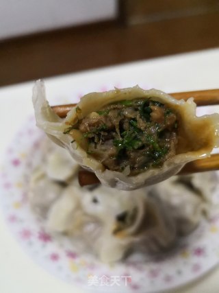 茴香猪肉馅饺子的做法步骤：8