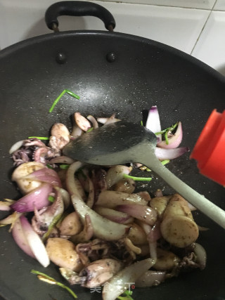 孜然鲜鱿的做法步骤：10