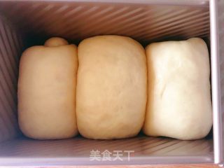 蜜豆吐司的做法步骤：5