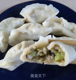 四季豆香菇肉饺的做法步骤：9