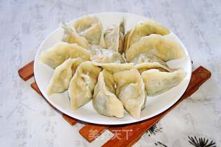 蒲公英鸡蛋馅水饺的做法步骤：9