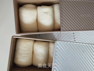 蜂蜜优格土司的做法步骤：9