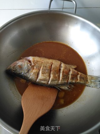 酱烧鲈鱼的做法步骤：5