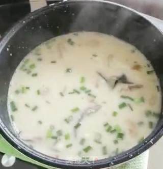 奶汤肥鱼——鮰鱼的做法的做法步骤：7