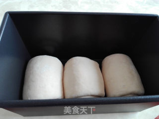 葡萄干吐司（一次性发酵）的做法步骤：6
