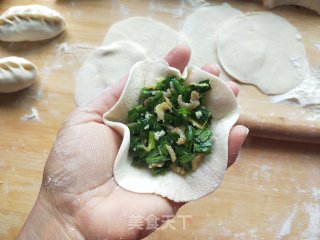 韭菜鸡蛋煎饺的做法步骤：15