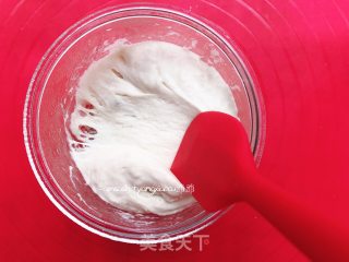 椰蓉面包(波兰种)的做法步骤：2