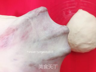 椰蓉面包(波兰种)的做法步骤：6