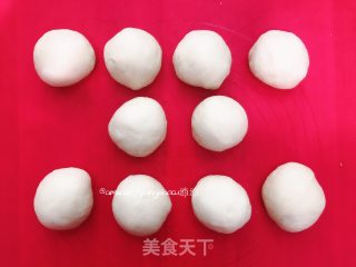 椰蓉面包(波兰种)的做法步骤：7