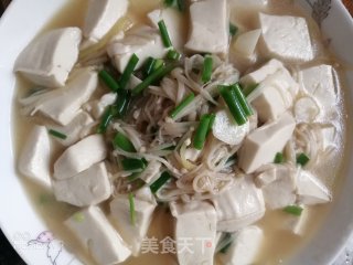 金针菇烧豆腐的做法步骤：9