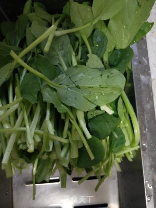 蒜爆鸡毛菜的做法步骤：1