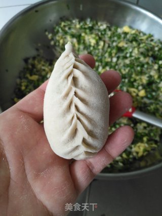 韭菜鸡蛋全麦蒸饺的做法步骤：13