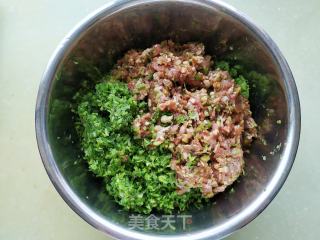 芹菜肉饺子的做法步骤：12