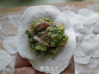 芹菜肉饺子的做法步骤：22