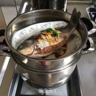 清蒸肉末鲫鱼的做法步骤：6