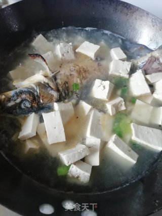 一锅鲜&鲫鱼豆腐汤的做法步骤：4