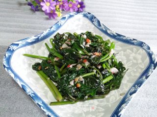 蒜香红薯叶的做法步骤：6