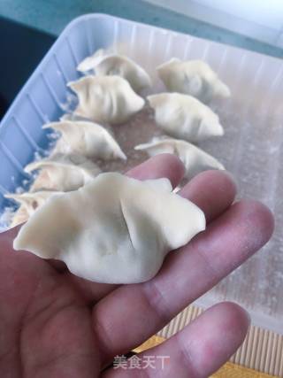 猪肉豇豆饺子的做法步骤：16
