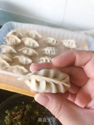 猪肉豇豆饺子的做法步骤：18