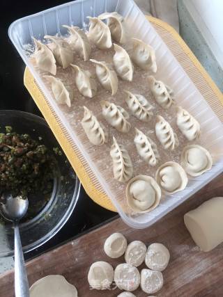 猪肉豇豆饺子的做法步骤：21
