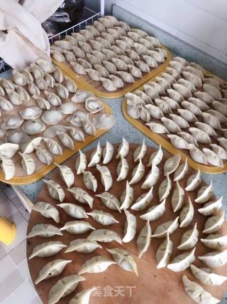 猪肉豇豆饺子的做法步骤：23