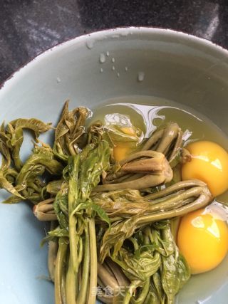 香椿海参煎蛋的做法步骤：2