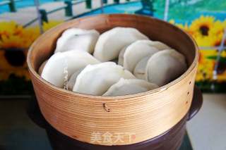 韭菜西葫芦鸡蛋馅蒸饺的做法步骤：10