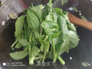 清炒菜心的做法步骤：5