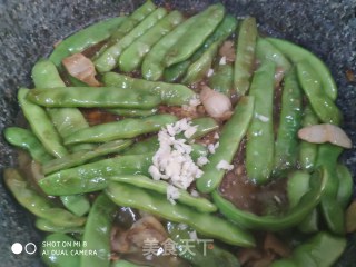 炖芸豆的做法步骤：7