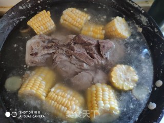 肉食 荤菜 南瓜玉米骨头汤的做法步骤：5