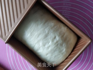 双色吐司的做法步骤：9