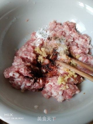鲜肉汤包的做法步骤：2