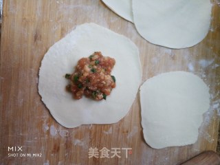 鲜肉汤包的做法步骤：5