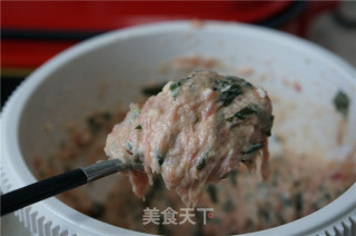 海菜肉丸子的做法步骤：5