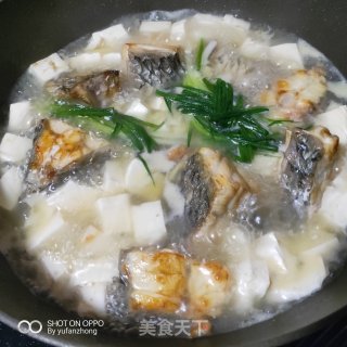 鳘鱼豆腐汤的做法步骤：3