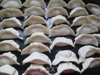 虾仁豆腐馅饺子的做法步骤：12