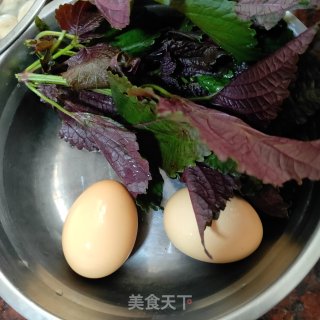 煎蚝烙（紫苏版）的做法步骤：1