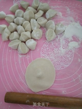 白菜黑木耳猪肉饺子的做法步骤：3