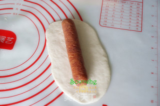热狗肉松包的做法步骤：6