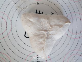 无糖全麦面包的做法步骤：7