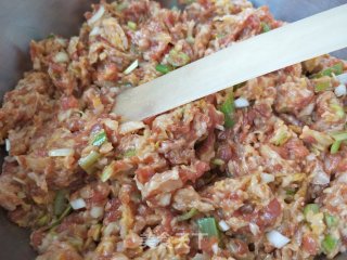 酸菜肉馅水饺的做法步骤：5