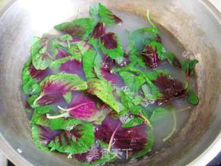 田头菇炖老鸡粉的做法步骤：5
