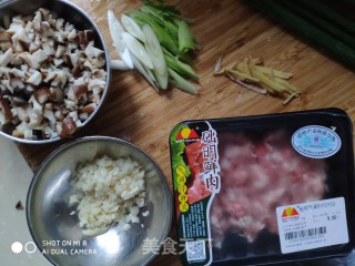 烤箱版肉末茄子的做法步骤：4