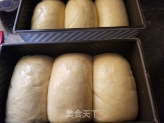奶香十足的北海道吐司的做法步骤：22