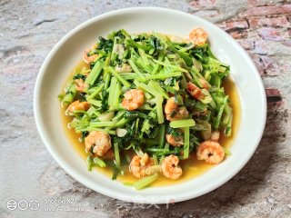 芹菜炒虾仁的做法步骤：7