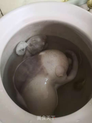 肚包玉贝蛋的做法步骤：7