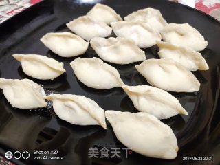 虾仁猪肉饺子的做法步骤：7