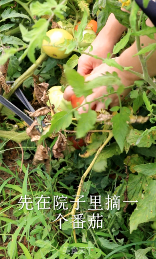 早渔人家|番茄醋溜鱼丸的做法步骤：1