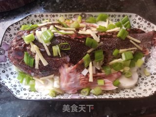 石九公蒸豆腐的做法步骤：8